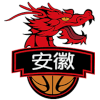 美洲队